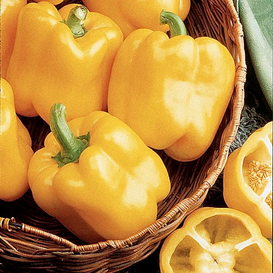 Yellow Peppers