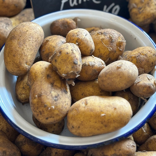 Local Venezia Salad Potatoes (Unavailable)