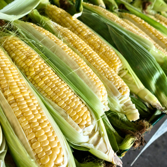 Local Corns (Out Of Season)