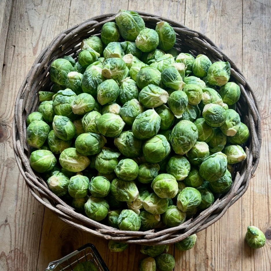 UK Brussel Sprouts (Out Of Season)