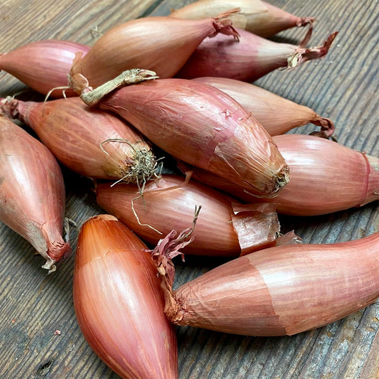 UK Banana Shallots