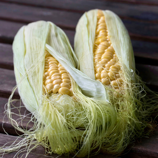 English Corns
