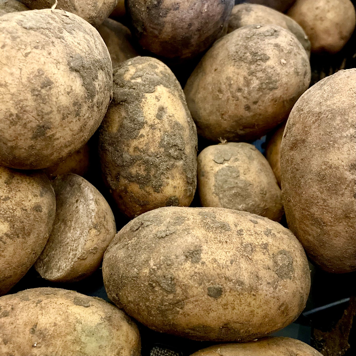 Local Jelly Potatoes - 1kg (Out Of Season)