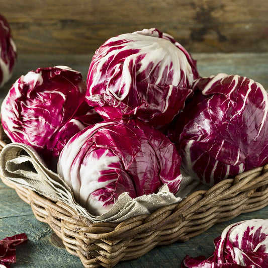 UK Radicchio (Unavailable)