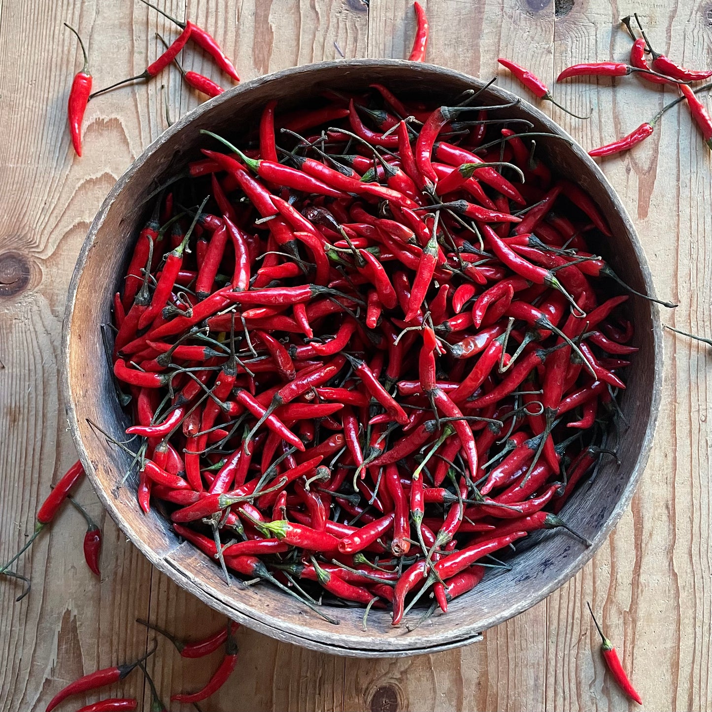 Red Thai Chilli (Out Of Stock)