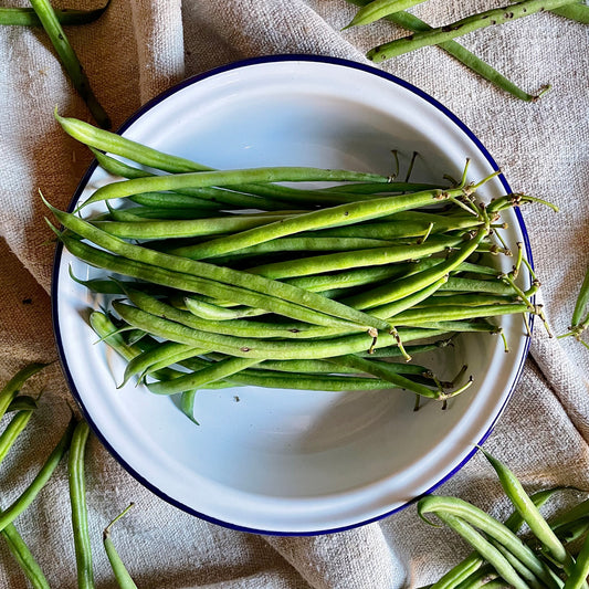 Fine Green Beans