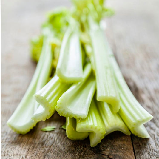 Celery