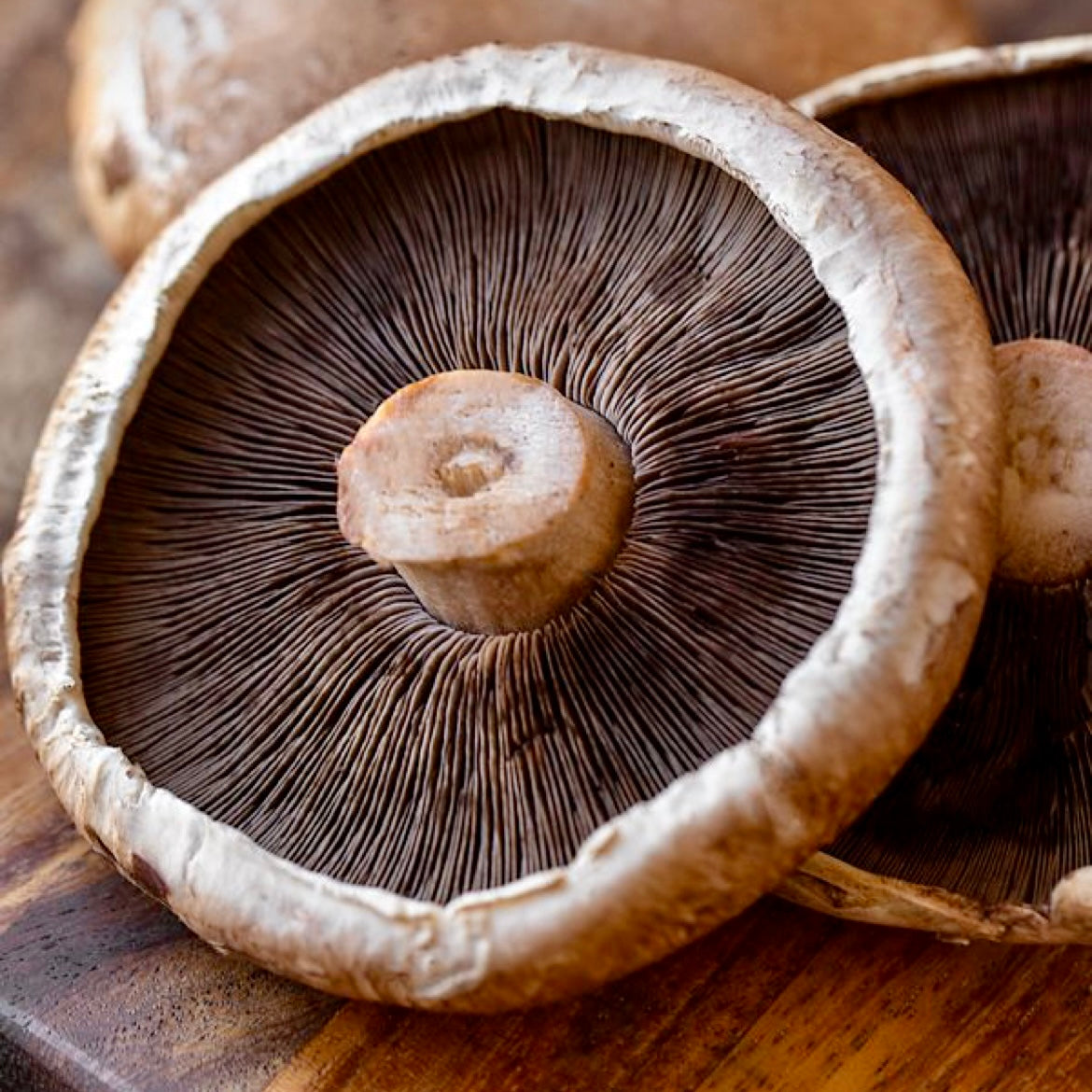 Portobello Mushrooms