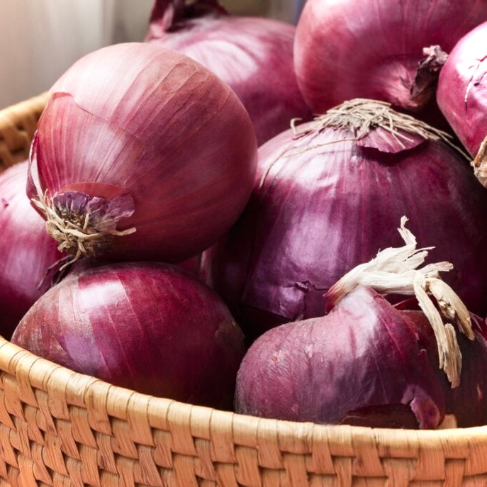 UK Red Onions