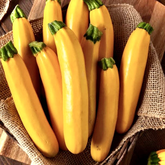 Courgette - Yellow (Unavailable)