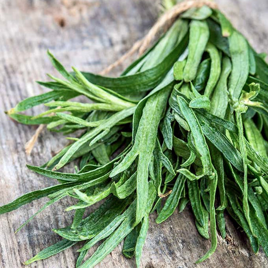 Fresh Tarragon