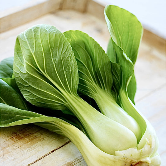 Pak Choi