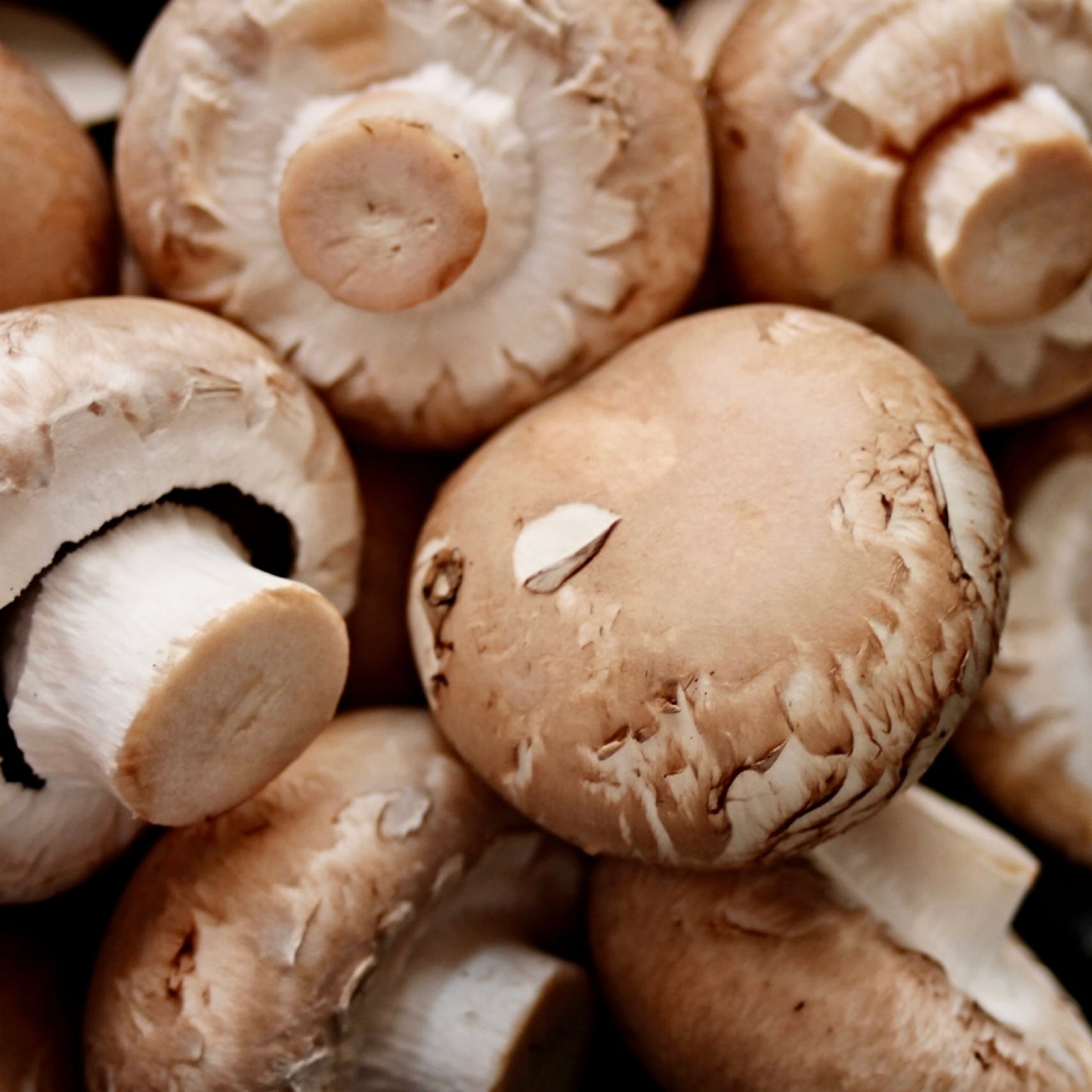 Paris Brown Mushrooms