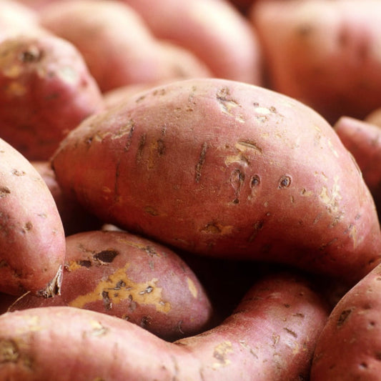 Sweet Potatoes