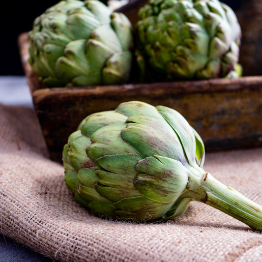 Globe Artichoke (Out Of Season)