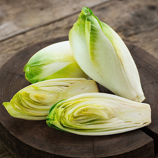 Chicory (Out Of Stock)