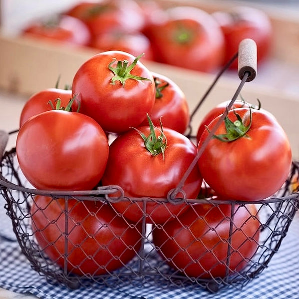 Tomatoes (Out Of Stock)