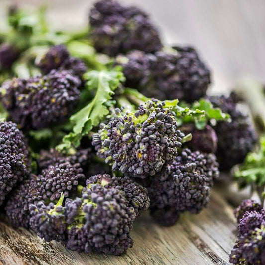 Purple Sprouting Broccoli