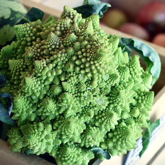 UK Romanesco Cauliflower