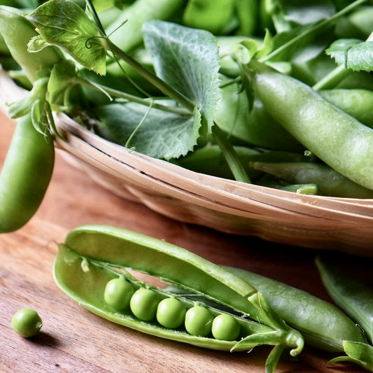 UK Peas in Pods (Out Of Season)