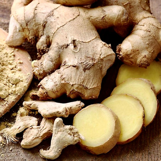 Ginger Root